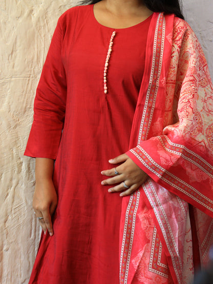 The Aura Collection: Handcrafted Bordered Anarkalis