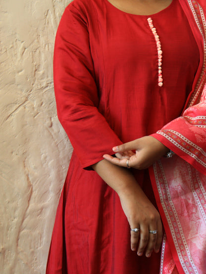 The Aura Collection: Handcrafted Bordered Anarkalis